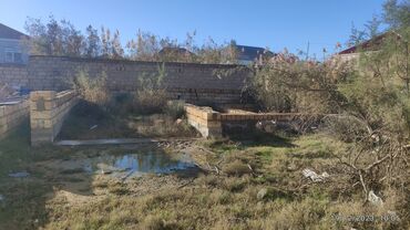 Torpaq sahələrinin satışı: 2500 sot, Tikinti, Makler, Bələdiyyə -da lalafo.az — 11 Torpaq sahələrinin satışı: 2500 sot, Tikinti, Makler, Bələdiyyə — 11