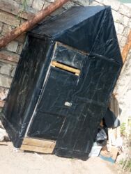 Göyərçinlər: Salam goyercin yuvası satılır tecili kim isitese elaqe saxlasin Bos — 8