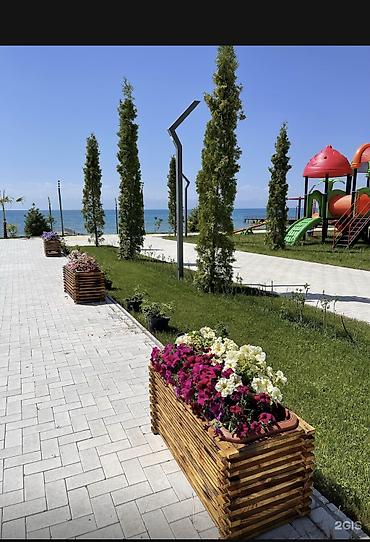 Посуточная аренда квартир: Сдается квартира на Иссык-Куле Село Корумду в пансионате «Novel» Есть at lalafo.kg — 11 Посуточная аренда квартир: Сдается квартира на Иссык-Куле Село Корумду в пансионате «Novel» Есть — 11