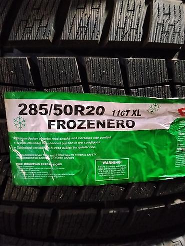 20: Зимние шины Fomax FROZENERO 285/50R20 116T XL - Размер: 285/50 R20 - — 2