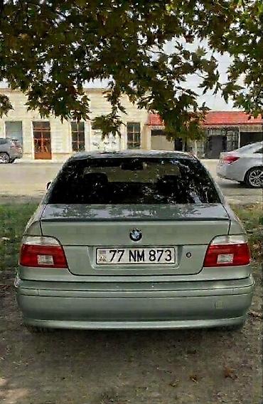 teker 215: BMW 5 Series (E39) sedan - Korpus: 4 qapılı sedan, gümüşü/boz rəng - — 3