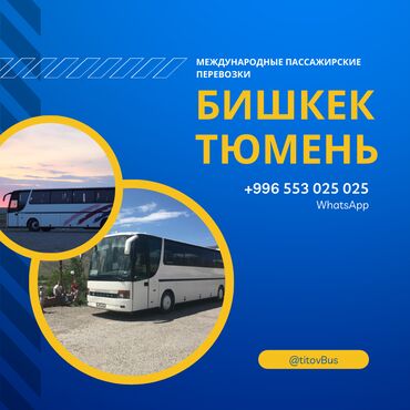 Трансфер, пассажирские перевозки: Автобус | 49 мест — 14