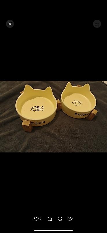 Продажа кошек: Скотиш Фолд (Шотландская вислоухая), 2 месяца, Девочка, Серый, Приучена к лотку, Проглистована, С документами — 13