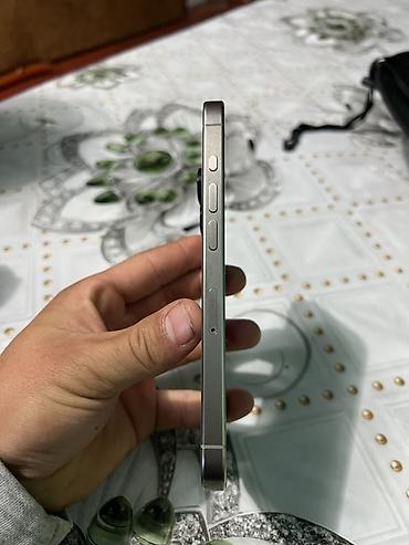 stalker 2: IPhone 15 Pro (Titanium) - Цвет: светлый титановый - Корпус — 2
