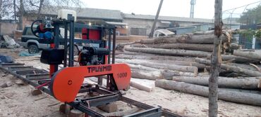 Распиловочные станки: Распиловочный станок без ЧПУ, Ленточный, Новый — 11