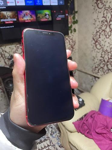 Apple iPhone: IPhone Xr, Б/у, 128 ГБ, Красный, Чехол, 79 % — 1