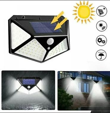 sadnice bora cena: Lamp Drago nam je što ste posetili Davidov Shop Online Market! 💡 — 1