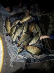 купить водяной насос для полива: Муздатылган