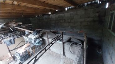 Продажа домов: Дом, 145 м², 4 комнаты, Собственник at lalafo.kg — 17 Продажа домов: Дом, 145 м², 4 комнаты, Собственник — 17