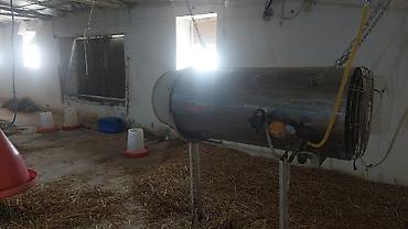 Digər daşınmaz kommersiya əmlakı icarəsi: Toyuq Üçün Ferma İcarəyə Verilir. Salam. 4 Ədəd, Hər Biri 15.000 — 20