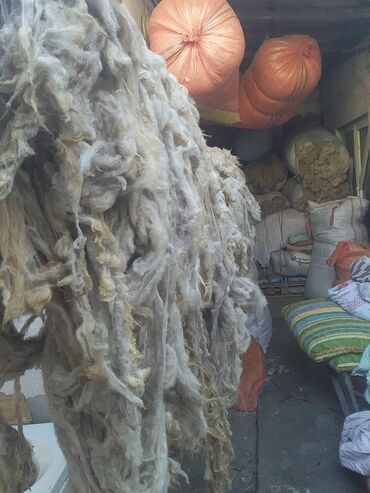 Yun: Yun satişi satışda yuyulmuş şamaxı yunu var qiymətlər keyfiyyətə — 13