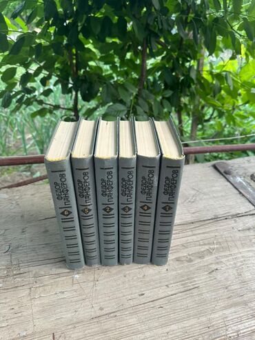 Художественная литература: Классика, На русском языке — 6