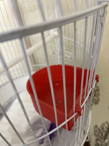 Qəfəslər: Ağ rəngli asılqanlı quş qəfəsi - Dairəvi, günbəz formalı metal — 5