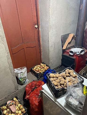 Продаётся земельный участок с домом 140 КВ метров 4 комнаты и кухня at lalafo.kg — 7 Продаётся земельный участок с домом 140 КВ метров 4 комнаты и кухня — 7