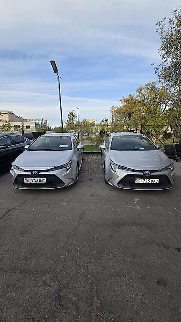 toyota leven: Toyota Levin: 2020 г., 1.8 л, Вариатор, Гибрид, Седан — 2