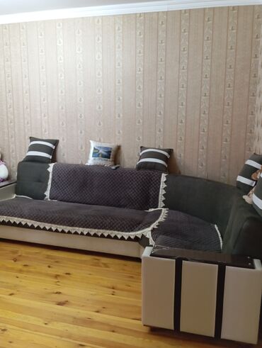 Bitkilər: Divan, İşlənmiş, Açılan