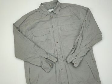 szara bluzki: Koszula Damska, XL, stan - Dobry
