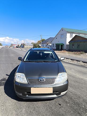 Toyota: Toyota Corolla: 2004 г., 1.6 л, Механика, Бензин, Универсал — 4