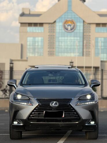 датчик положения дроссельной заслонки опель вектра б: Lexus NX: 2018 г., 2.5 л, Вариатор, Гибрид, Кроссовер
