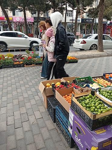 Çöl bitkiləri: Hazır biznes kimi satılır 500 manat aylıq icare haqqı 400 manat ünvan — 3
