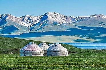 5: 5 соток, Для бизнеса, Красная книга — 1