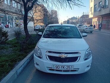 masin cxollari: Chevrolet Cobalt: 1.5 l | 2024 il 5000 km Sedan