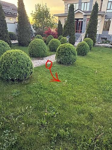 прополка: Профессиональное озеленение и уход за участками Что делаем: - — 4