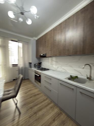 Батирлерди ижарага берүү: 1 бөлмө, Менчик ээси, Үй-бүлөлүүлөргө, 1 жылдан баштап, Толугу менен эмереги бар — 3