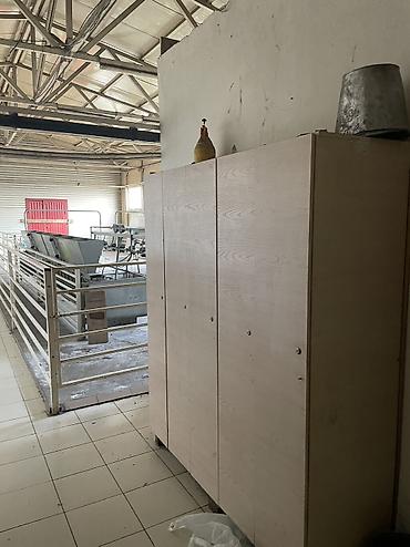 Продажа помещений свободного назначения: Продаётся сельскохозяйственный комплекс с землёй и капитальными — 19