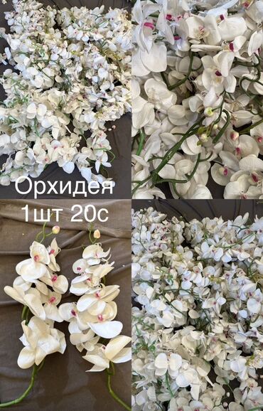 цветы дерево: Искусственные б/у ветки орхидеи (фаленопсис), белые