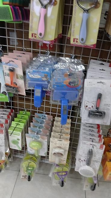 Pişiklər: Erkək, Pulsuz çatdırılma — 14