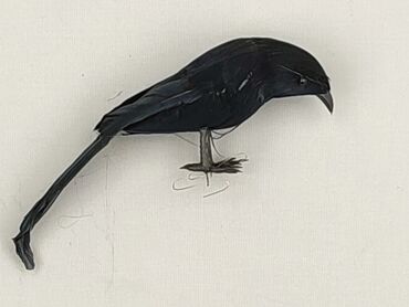 Figurine, condition - Perfect