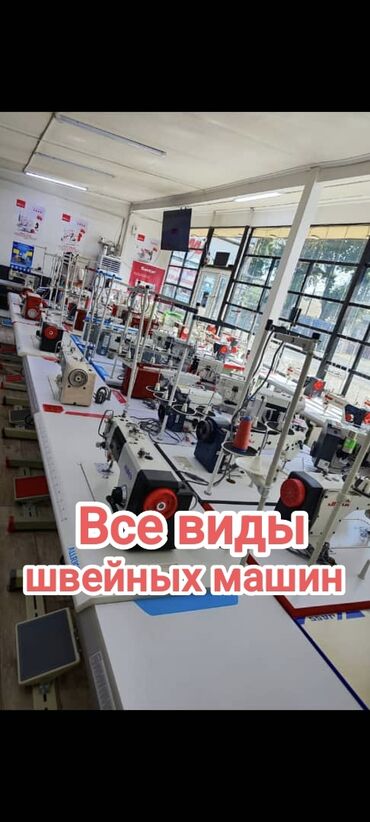 умные собаки: Швейная машина швейная машина Швейная машина швейная машина Швейная