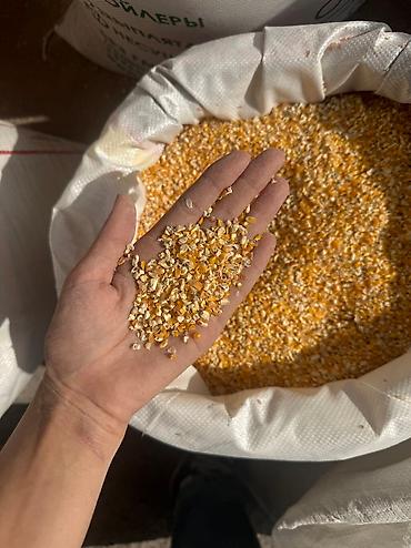 Крупы, мука, сахар: Кукурузная мука Жугору ун - Натуральная кукурузная мука Отправим — 8