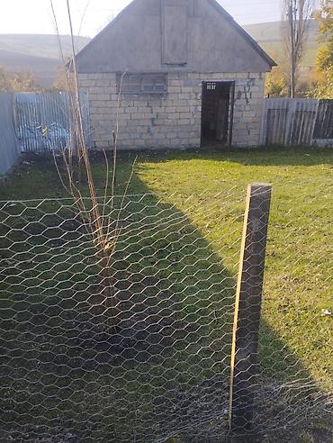 Həyət evləri və villaların satışı: 1 otaqlı, 84 kv. m, Kredit yoxdur, Orta təmir — 11