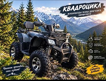 квадроцикл 300 куб: Квадроцикл Бензин, 250 куб. см, Взрослый — 1