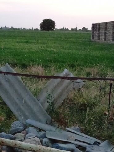 Torpaq sahələrinin satışı: 8 sot, Tikinti, Mülkiyyətçi, Kupça (Çıxarış) — 5