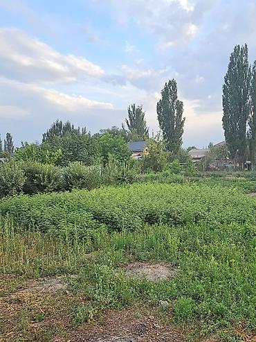 Продажа домов: 5 комнат, 90 м², 16 соток, Новопокровка, Собственник — 2