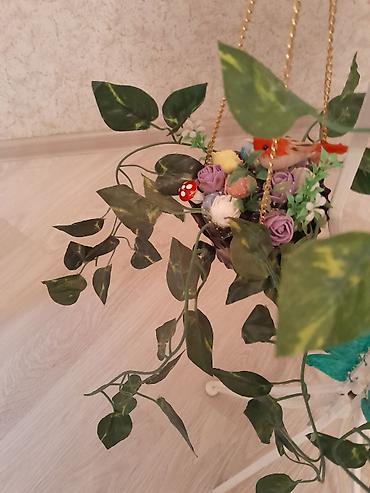 akvarium zavod istehsali: Yumru akvarium üçün əşyalar — 6