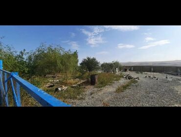 Kommersiya daşınmaz əmlakının satışı: Xızı rayonunda yerləşən bu fermer təsərrüfatı heyvandarlıq üçün geniş — 5