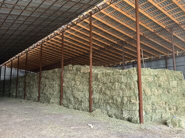 замороженная кукуруза: Сено в тюках 2 укос (прямоугольные тюки), складское хранение под