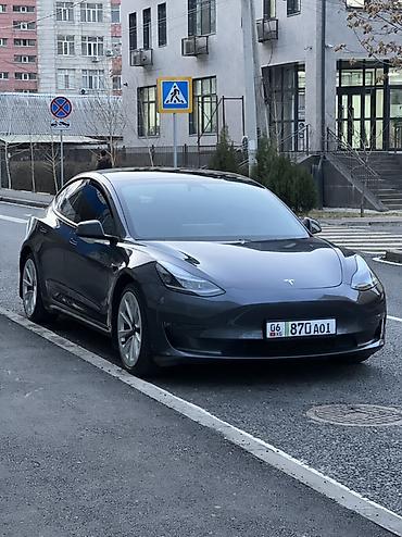 Tesla: Tesla Model 3: 2021 г., Автомат, Электромобиль, Седан — 1