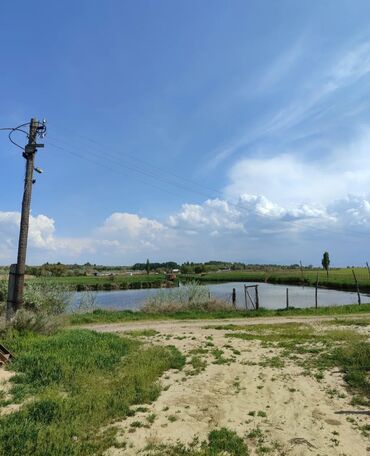 Продажа участков: 600 соток, Для бизнеса, Красная книга — 9