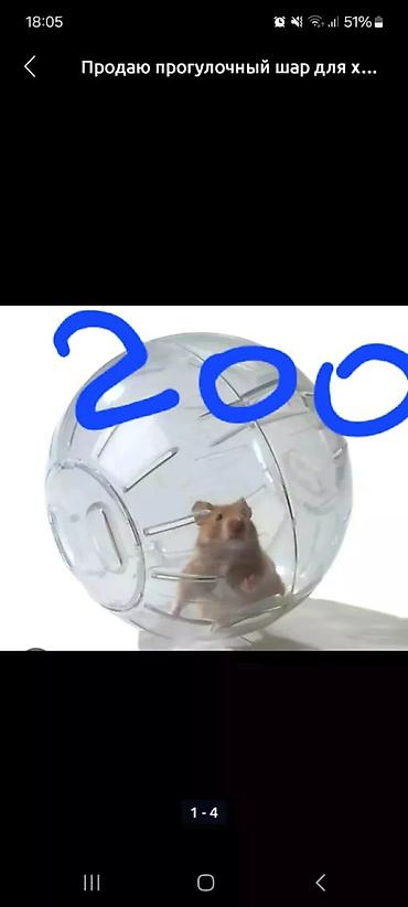 Зоотовары: Клетки и аксессуары для хомяков Варианты: - Большая клетка с высоким — 6