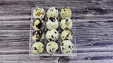 кунажын бишкек: Перепелиные яйца 8.50 сом 
Сокулук 
Есть доставка — 1