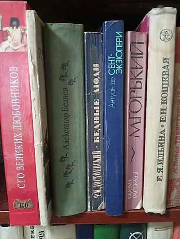 Художественная литература: Классика, На русском языке — 12