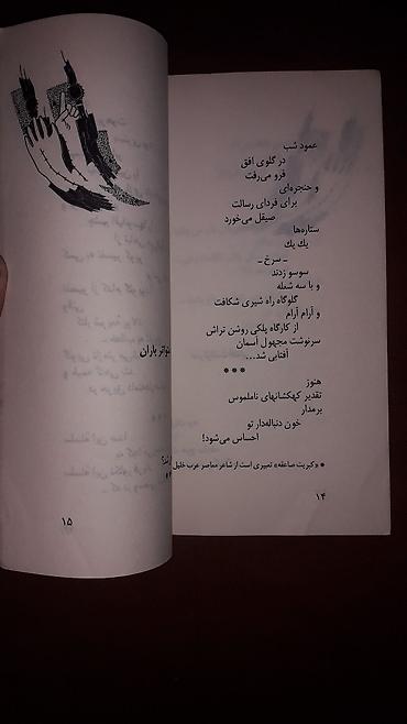 Иностранные языки: Персидский язык Грамматика Б/у состояние идеальное. Почти не — 30