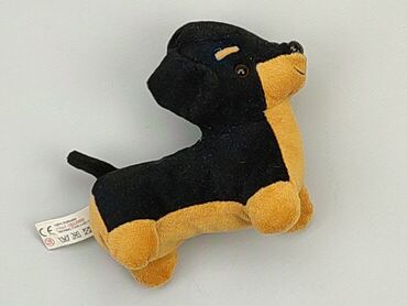 dół od stroju kąpielowego czarny: Mascot Dog, condition - Good