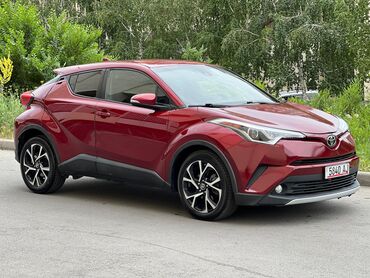 chr toyota: Toyota C-HR: 2018 г., 2 л, Автомат, Бензин, Кроссовер