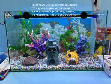 аквариум цена: Аквариумы под ключ Гарантия работы богатый опыт в Аквариумистики 15